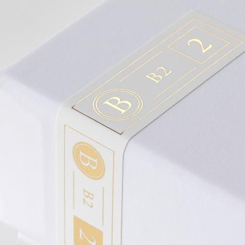 Final B2 In-Ear Closed Wired Headphones image