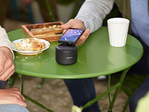 Sony BSP10 20 W 1.0 Channel Speakers image