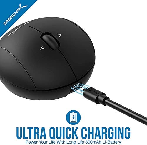 Sabrent MS-WRCH Wireless Optical Mouse image