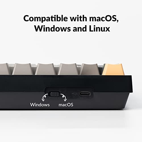 Keychron C2 Pro V1 Hotswap RGB Wired Standard Mechanical Keyboard image