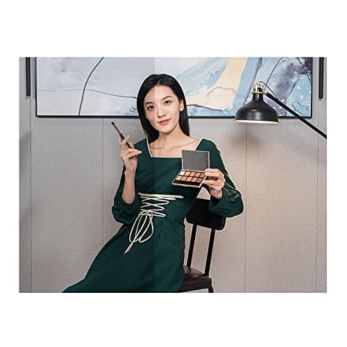 OBSBOT Tiny 1080p 720p Webcam image