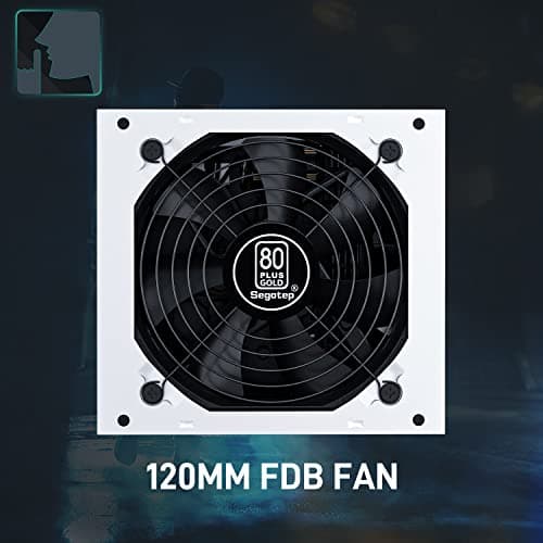 Segotep GM 850 W 80+ Gold Certified Fully Modular ATX Power Supply (CP-PSU-ST-GM850) image