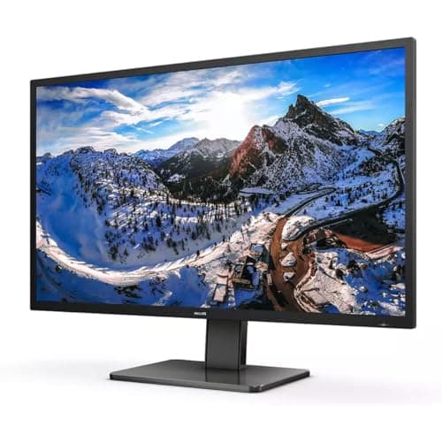 Philips 439P1 42.5" 4K 60Hz VA Monitor image