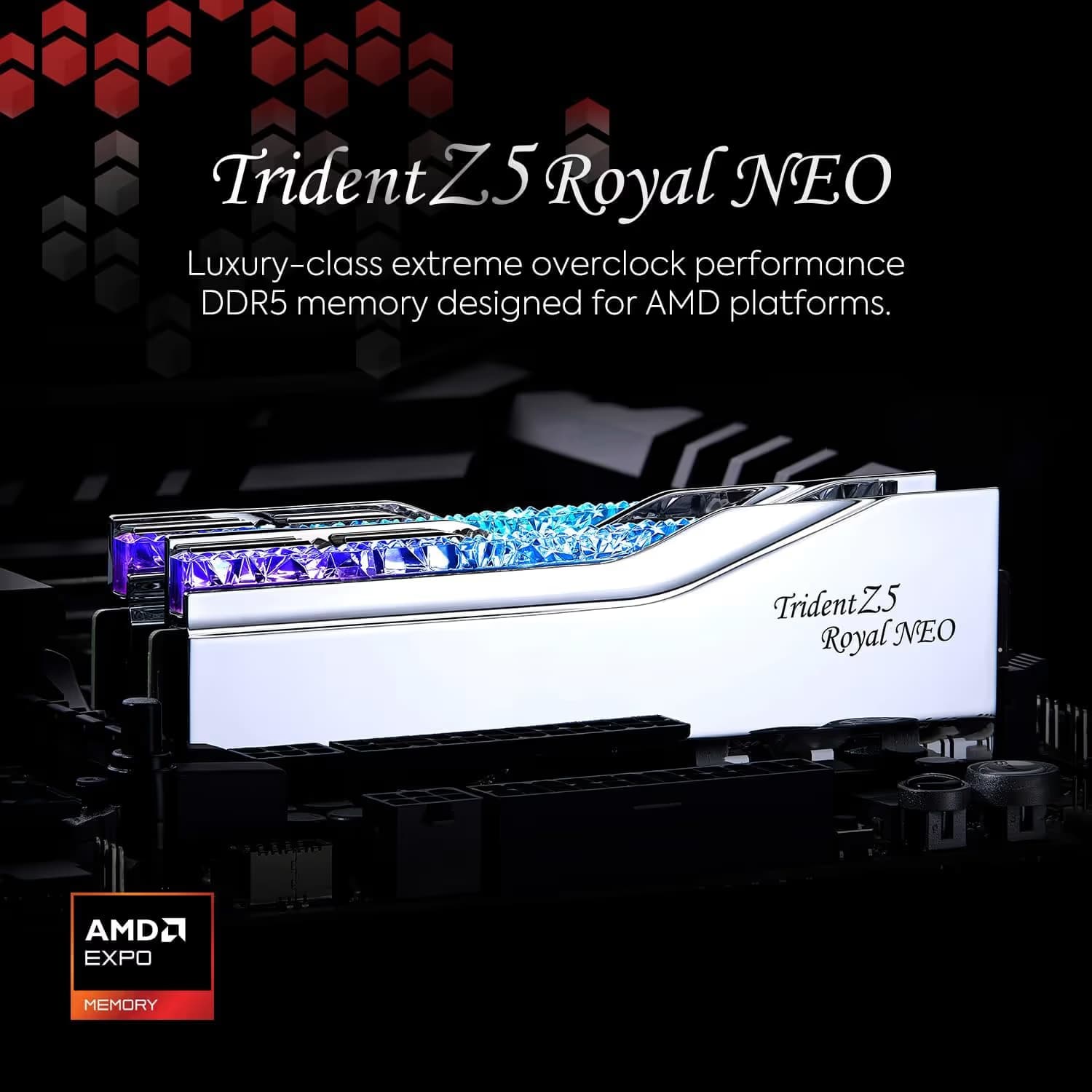 G.Skill Trident Z5 Royal Neo RGB Silver DDR5-6000 CL28 48GB (2x24GB) image