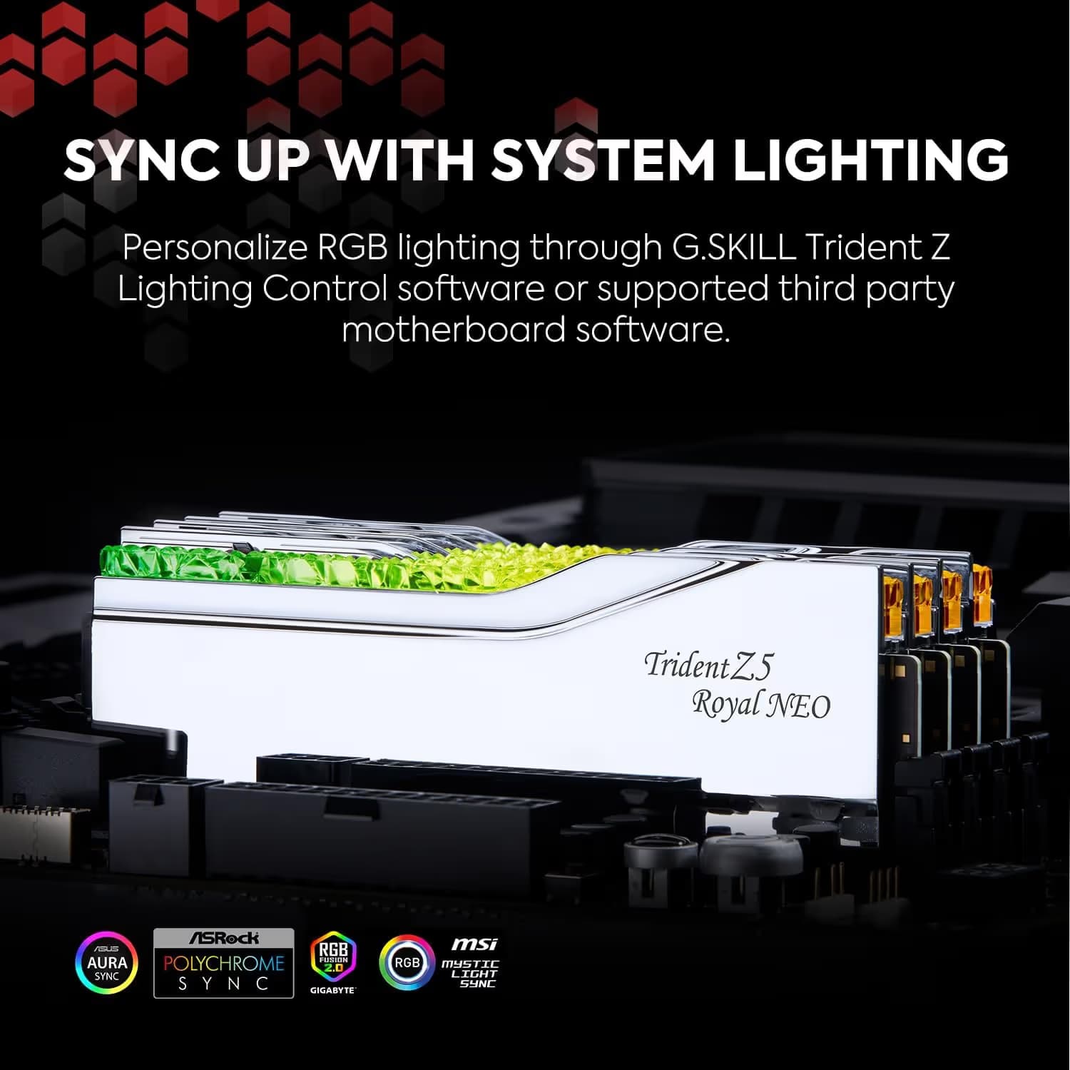 G.Skill Trident Z5 Royal Neo RGB Silver DDR5-6000 CL28 48GB (2x24GB) image
