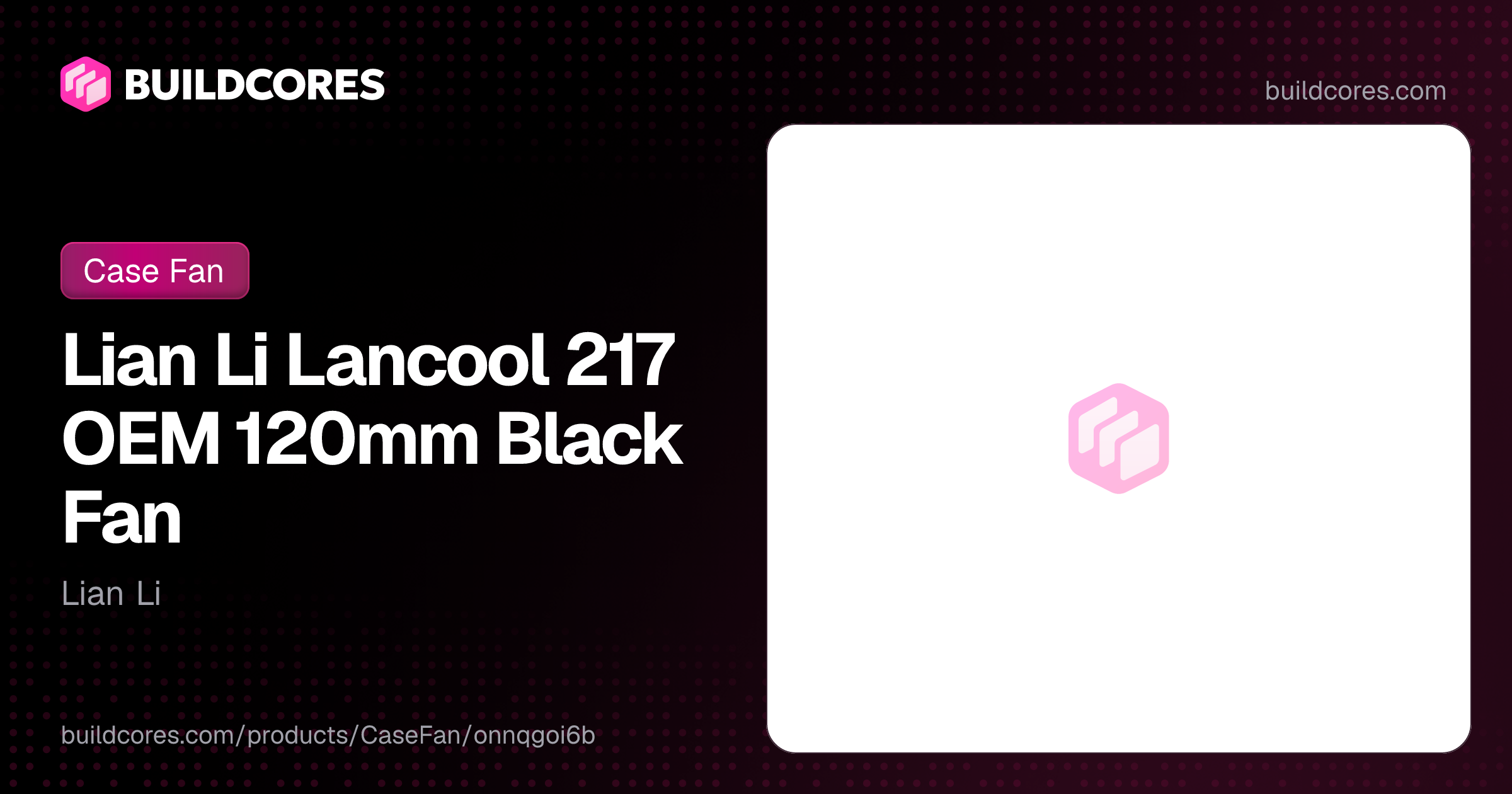 Lian Li Lancool 217 OEM 120mm Black Fan | BuildCores